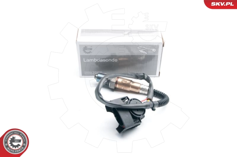 Oxygen Sensor